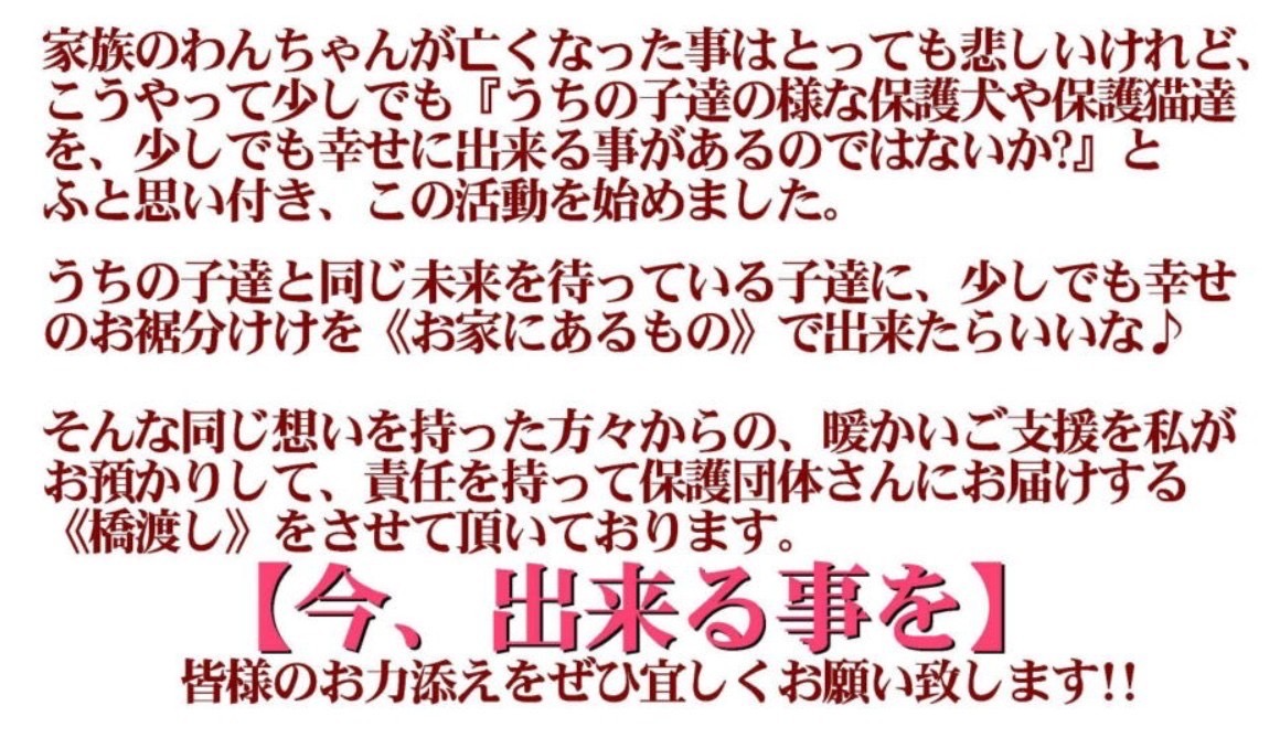 保護犬＆保護猫のために